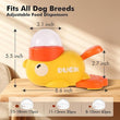 Pet Feeder